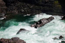Puntarenas (Puerto Caldera) White Water Rafting cruise excursion